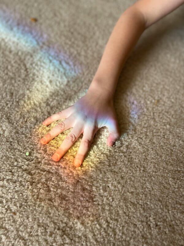 Akshay and Sons Carpet